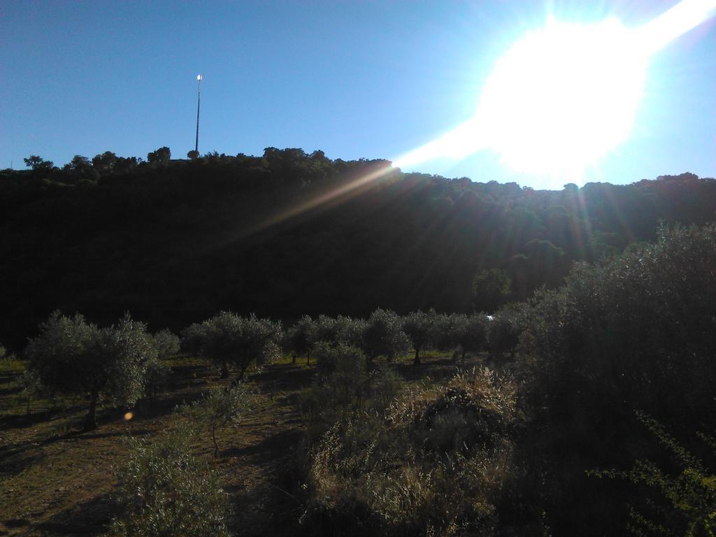 Casa Das Argolas Macedo de Cavaleiros Εξωτερικό φωτογραφία